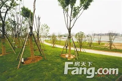 郑焦融合发展的先行区,武陟县委,县 高瞻远瞩,紧抓中原城市群建设和被