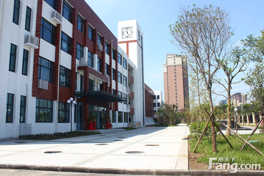 重庆路小学开学了 新区又增加了一所小学