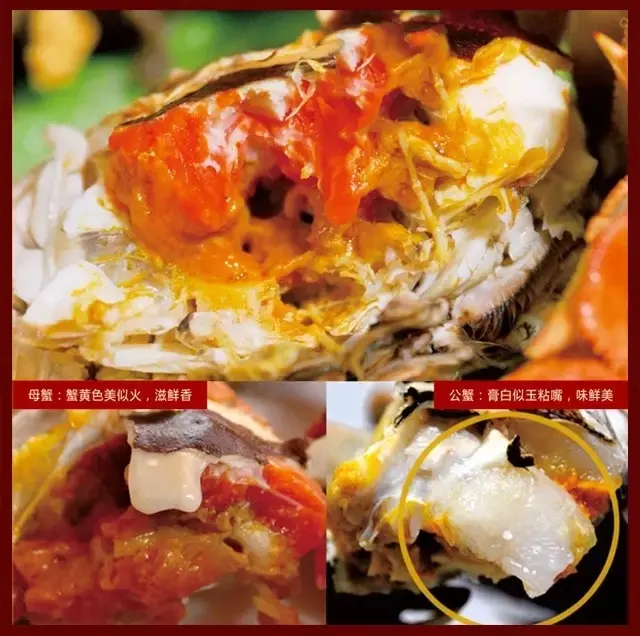 金秋感恩之感"蟹"有您,今年秋天,同安福龙湾邀您"蟹"逅美味!