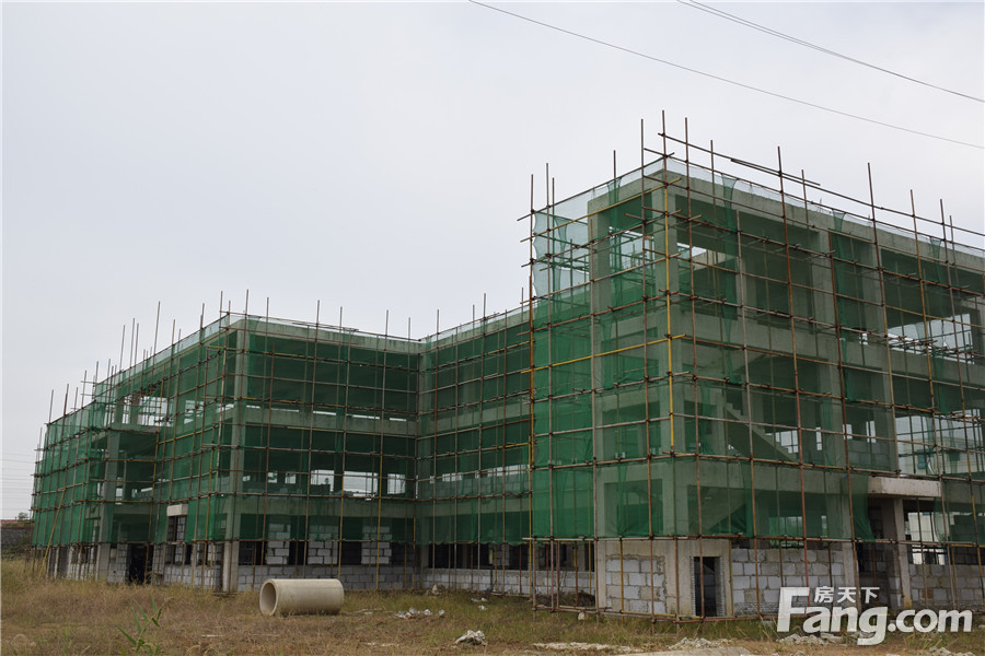 10月工程进度：博大·君悦湾绿化正在建设中