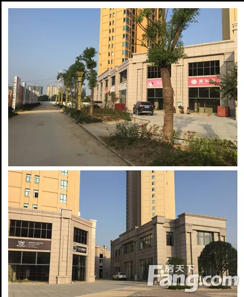 金域国际外围绿化已经完工,内部绿化即将开工-孝感网