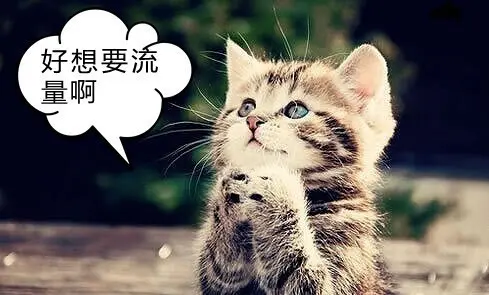 流量不够用怎么办?
