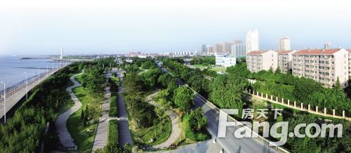 海盐未来的发展 滨海新城:碧桂园 公园城市展厅盛大启幕