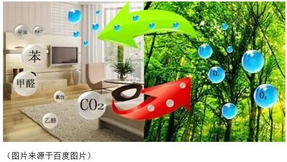 沙田碧桂园:空气不清新?你缺少一个会呼吸的房子