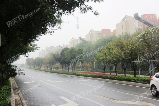 临潼——区域道路规划整洁 两条主干道直通城东