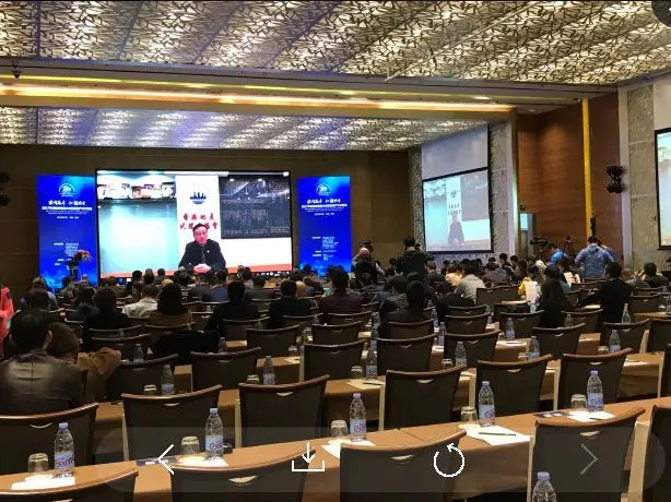 2017年首届粤港澳大湾区房地产中介峰会盛大举办 超过200名老总荟聚热议