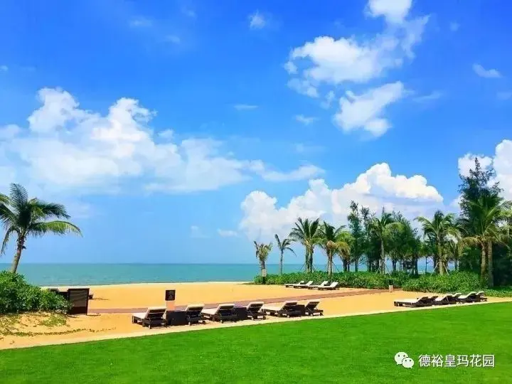 12月8日一线海景公寓盛大开盘