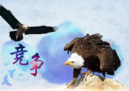 第二届家居建材业最强终端发展论坛即将开幕