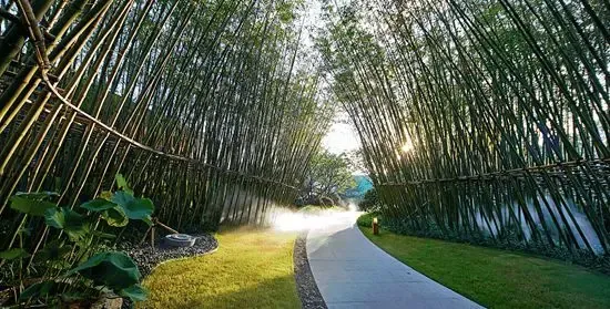 只是居住者的日常生活情景