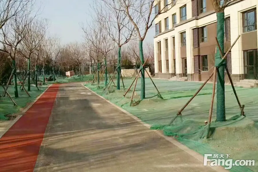 廊坊上善颐园 工程进度 社区园林抢先看