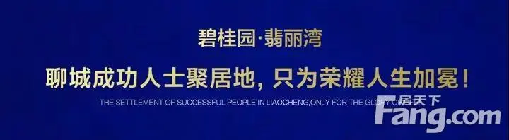 世界的碧桂园,世界的聊城,碧桂园·翡丽湾,尊贵vip卡火爆办理中