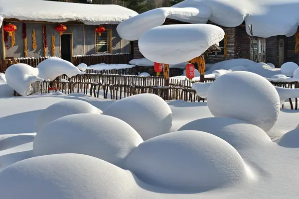 (图:东北雪乡过年灯笼"雪里红")