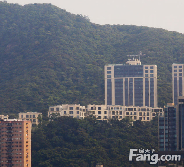 香港房产信息MOUNTNICHOLSON推8伙下周三招标6小时