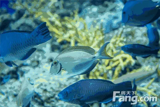 国庆来邯郸恒大绿洲 看