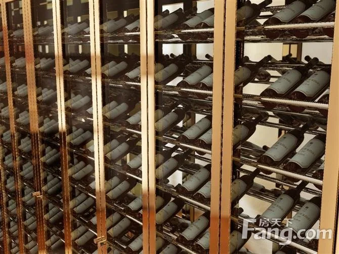 你了解电子酒柜吗?电子酒柜哪个品牌好