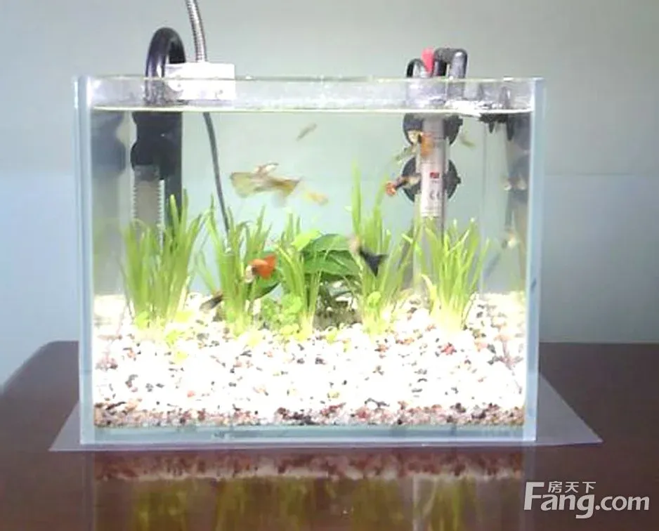 如何使用加热棒?加热棒摆放有规矩