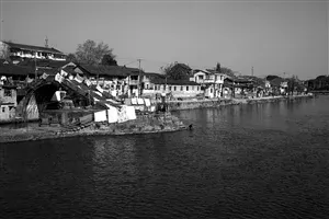 民宿大鳄纷纷进军宁波市场 宁波规模民宿集聚