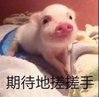 杭州最低价楼盘登记首日:帐篷、睡袋登场……