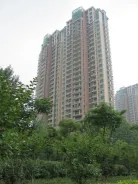 ����Ҽ�Ŷ����⾰ͼ��2010.6��