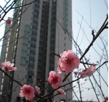 房源图片