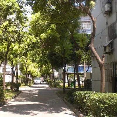 泰和新城 实景图