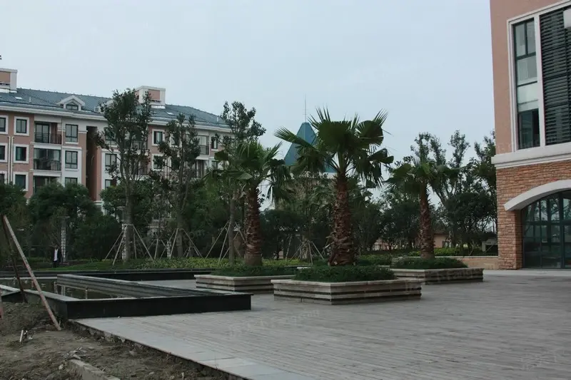 金水湾花园实景图会所门前小广场(2010.10.13)