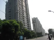 ����Ҽ�Ŷ���С��ʵ��ͼ��2011.7��