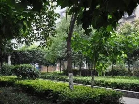 房源图片