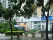 棕榈湾 稀缺户型 270度无敌海景 经典跃式 深圳东部湾区豪宅，