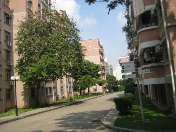 深圳南山租房新动态：多元选择与品质提升