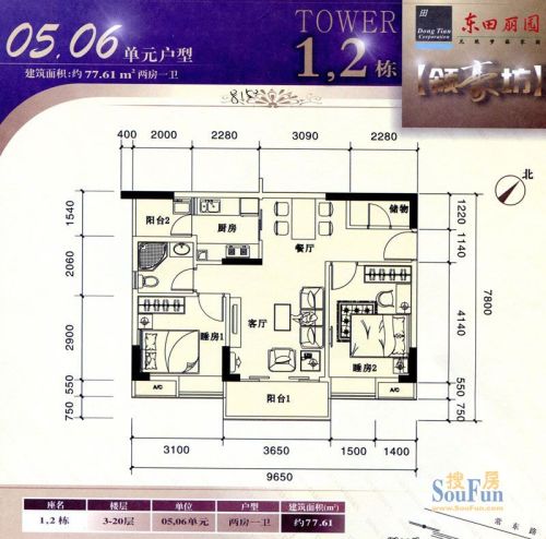 东田丽园五期户型图