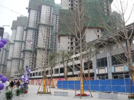 房源图片