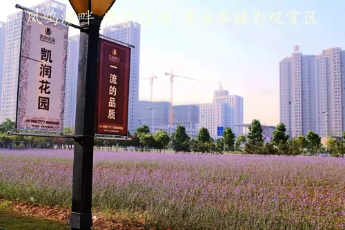 凯润花园实景图实景图（2015.6）