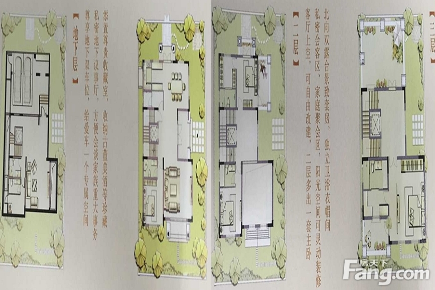 国信君邑