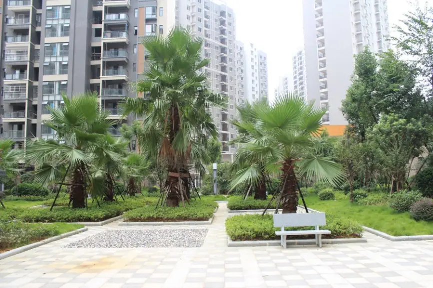赣州中央城一期小区实景图(2015-9-8)-赣州搜房网