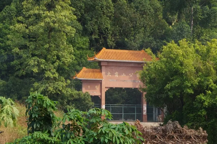 1     /                5                    大岗山公园