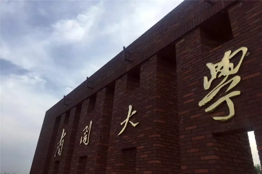 鲁能泰山7号项目周边海河教育园区南开大学