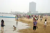 金山线看房团在金山海滩游玩
