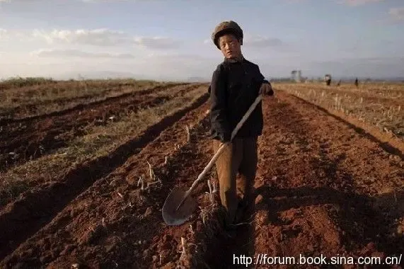 <em>朝鲜90后美女</em>接受采访 看真正的朝鲜人民生活