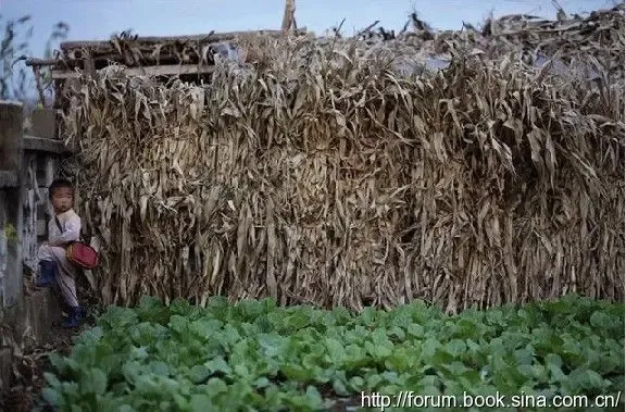 <em>朝鲜90后美女</em>接受采访 看真正的朝鲜人民生活