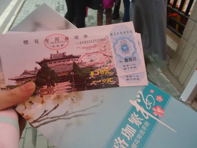 3/10                  今年武大樱花门票每张20元,比