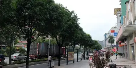 黄埔区丰乐路——30分钟直达天河白金商圈