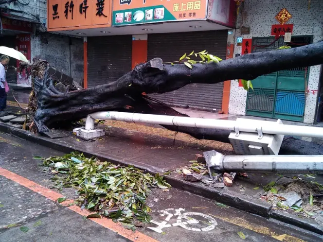 "天兔"登陆惠州 惠城区麦地下埔小区断电_房产资讯-惠州搜房网