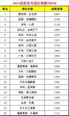 2013年武汉房地产市场总结-房企排行榜_房产