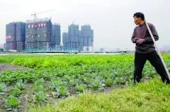 关于农村土地流转的法律困境的毕业论文的格式范文