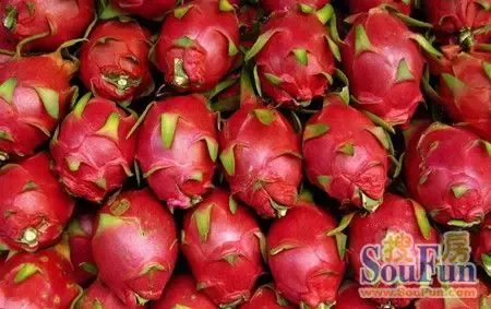 火龙果象征着独特的价值_房产资讯-清远手机搜