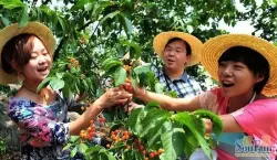 六月活动 - 房天下图片搜索引擎