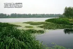 上海国资改革:地产集团庞大资产或注入中华企