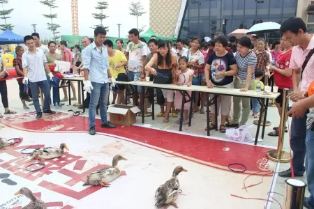 恒宁城市广场庆中秋趣味游园活动欢乐举行