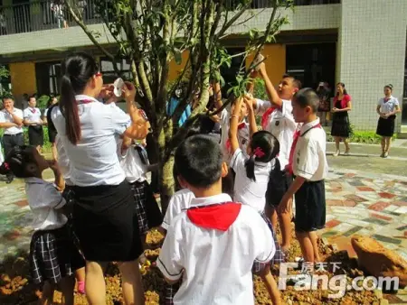美丽城集团落户800万元助力江南区佛山小学捐资口小学外地富乐上 美丽城集团落户800万元助力江南区佛山小学捐资口小学外地富乐上